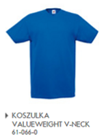 Koszulka Valueweight V neck